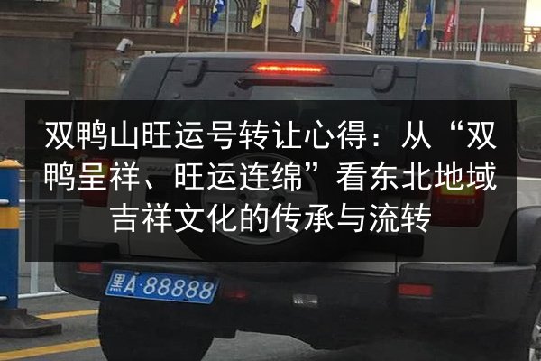 双鸭山旺运号转让心得：从“双鸭呈祥、旺运连绵”看东北地域吉祥文化的传承与流转 第3张