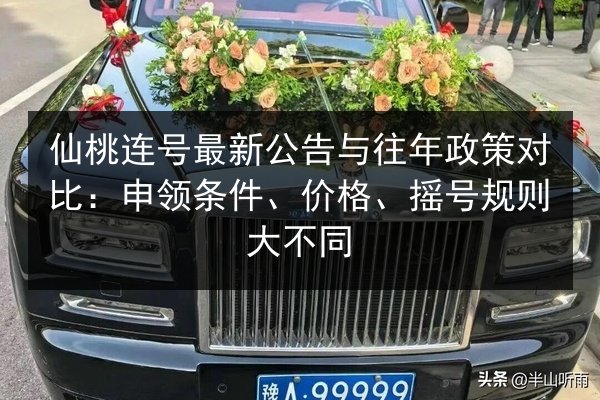 仙桃连号最新公告与往年政策对比：申领条件、价格、摇号规则大不同
