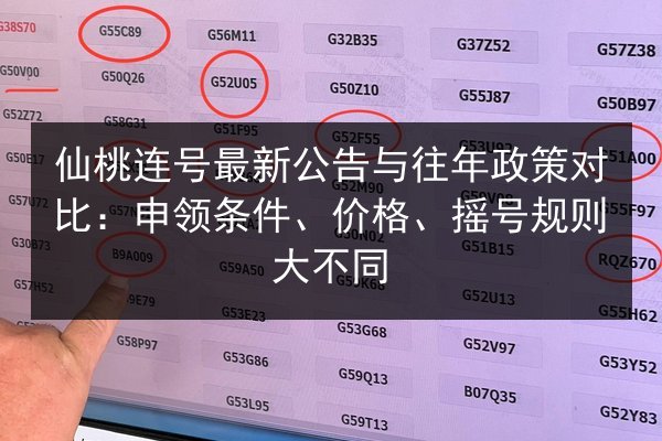 仙桃连号最新公告与往年政策对比:申领条件、价格、摇号规则大不同 第3张 仙桃连号最新公告与往年政策对比:申领条件、价格、摇号规则大不同 第3张