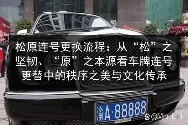 松原连号更换流程：从“松”之坚韧、“原”之本源看车牌连号更替中的秩序之美与文化传承 第2张