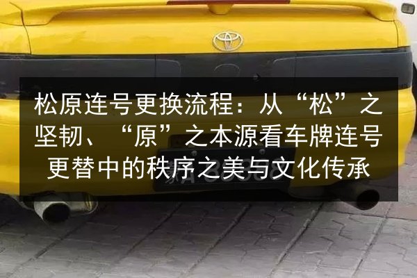 松原连号更换流程：从“松”之坚韧、“原”之本源看车牌连号更替中的秩序之美与文化传承 第3张