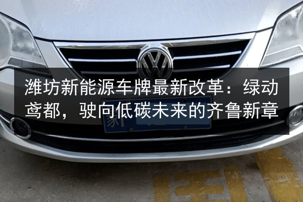 潍坊新能源车牌最新改革：绿动鸢都，驶向低碳未来的齐鲁新章