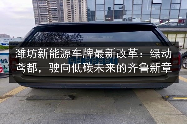 潍坊新能源车牌最新改革:绿动鸢都,驶向低碳未来的齐鲁新章 第2张 潍坊新能源车牌最新改革:绿动鸢都,驶向低碳未来的齐鲁新章 第2张