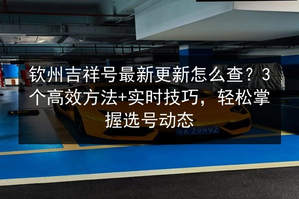 钦州吉祥号最新更新怎么查？3个高效方法+实时技巧，轻松掌握选号动态