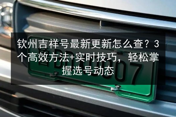 钦州吉祥号最新更新怎么查？3个高效方法+实时技巧，轻松掌握选号动态 第2张