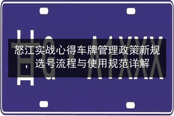 怒江实战心得车牌管理政策新规，选号流程与使用规范详解 第2张