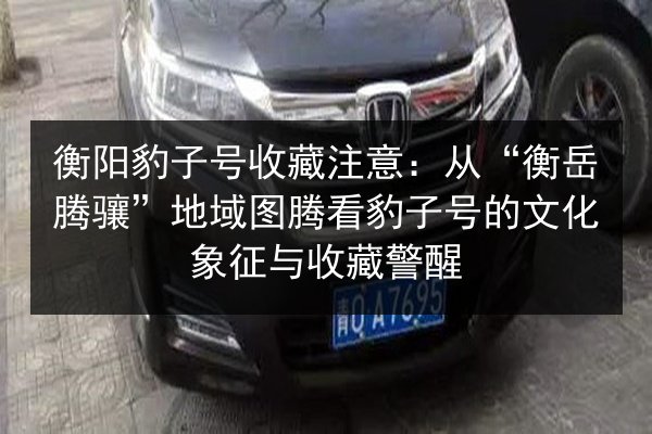 衡阳豹子号收藏注意：从“衡岳腾骧”地域图腾看豹子号的文化象征与收藏警醒 第2张