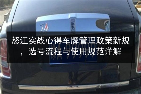 怒江实战心得车牌管理政策新规，选号流程与使用规范详解 第3张