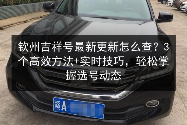 钦州吉祥号最新更新怎么查？3个高效方法+实时技巧，轻松掌握选号动态 第3张
