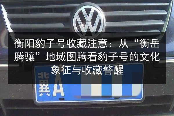 衡阳豹子号收藏注意：从“衡岳腾骧”地域图腾看豹子号的文化象征与收藏警醒 第3张