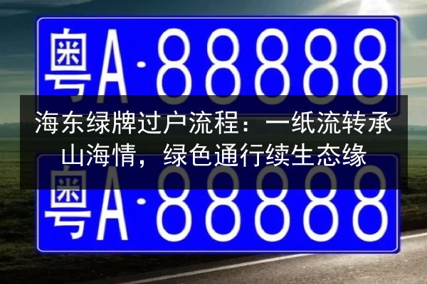 海东绿牌过户流程：一纸流转承山海情，绿色通行续生态缘