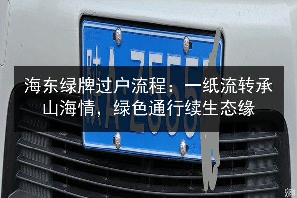海东绿牌过户流程：一纸流转承山海情，绿色通行续生态缘 第3张