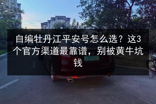 自编牡丹江平安号怎么选？这3个官方渠道最靠谱，别被黄牛坑钱