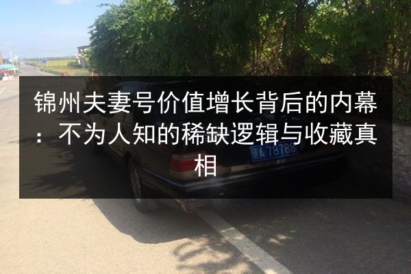 锦州夫妻号价值增长背后的内幕:不为人知的稀缺逻辑与收藏真相 第3张 锦州夫妻号价值增长背后的内幕:不为人知的稀缺逻辑与收藏真相 第3张