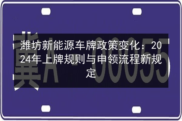潍坊新能源车牌政策变化:2024年上牌规则与申领流程新规定 第3张 潍坊新能源车牌政策变化:2024年上牌规则与申领流程新规定 第3张