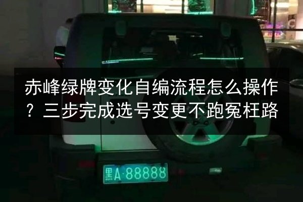 赤峰绿牌变化自编流程怎么操作？三步完成选号变更不跑冤枉路 第3张