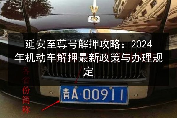 延安至尊号解押攻略：2024年机动车解押最新政策与办理规定 第2张