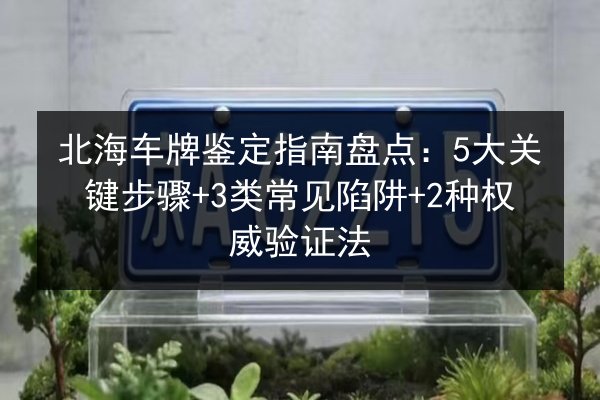 北海车牌鉴定指南盘点：5大关键步骤+3类常见陷阱+2种权威验证法 第2张