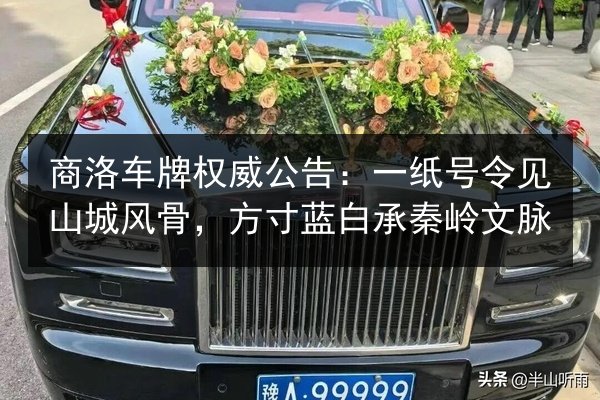 商洛车牌权威公告：一纸号令见山城风骨，方寸蓝白承秦岭文脉 第2张