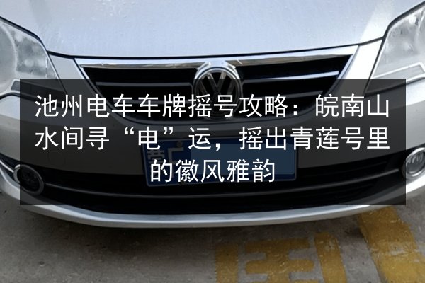 池州电车车牌摇号攻略:皖南山水间寻“电”运,摇出青莲号里的徽风雅韵 第2张 池州电车车牌摇号攻略:皖南山水间寻“电”运,摇出青莲号里的徽风雅韵 第2张