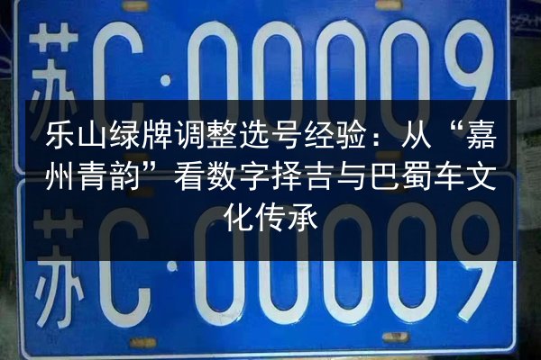 乐山绿牌调整选号经验：从“嘉州青韵”看数字择吉与巴蜀车文化传承 第2张