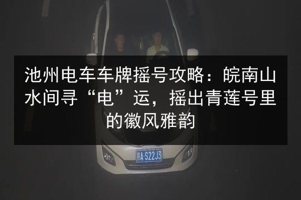 池州电车车牌摇号攻略:皖南山水间寻“电”运,摇出青莲号里的徽风雅韵 第3张 池州电车车牌摇号攻略:皖南山水间寻“电”运,摇出青莲号里的徽风雅韵 第3张