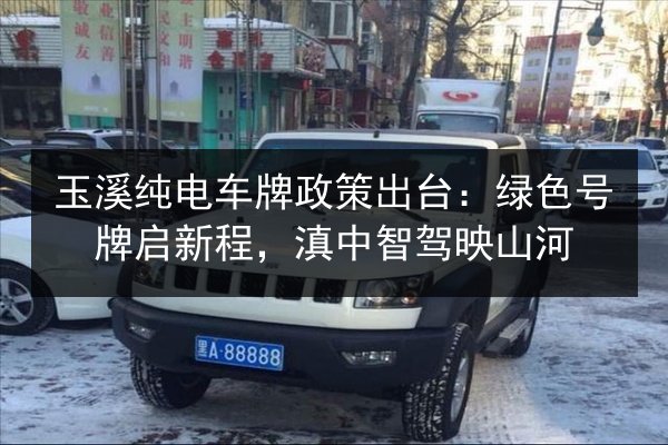 玉溪纯电车牌政策出台：绿色号牌启新程，滇中智驾映山河 第2张