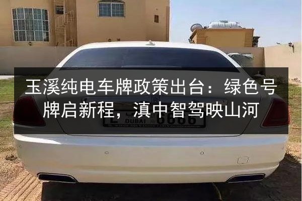 玉溪纯电车牌政策出台：绿色号牌启新程，滇中智驾映山河 第3张
