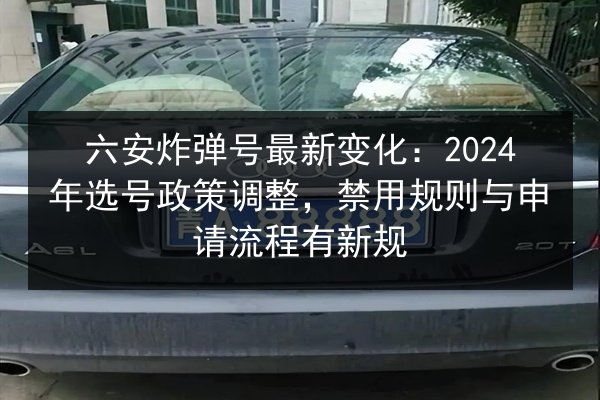 六安炸弹号最新变化：2024年选号政策调整，禁用规则与申请流程有新规