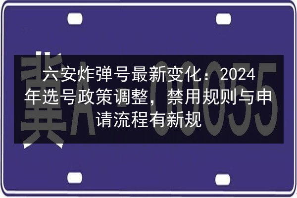 六安炸弹号最新变化：2024年选号政策调整，禁用规则与申请流程有新规 第2张