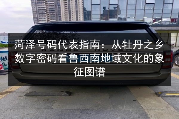 菏泽号码代表指南：从牡丹之乡数字密码看鲁西南地域文化的象征图谱 第2张