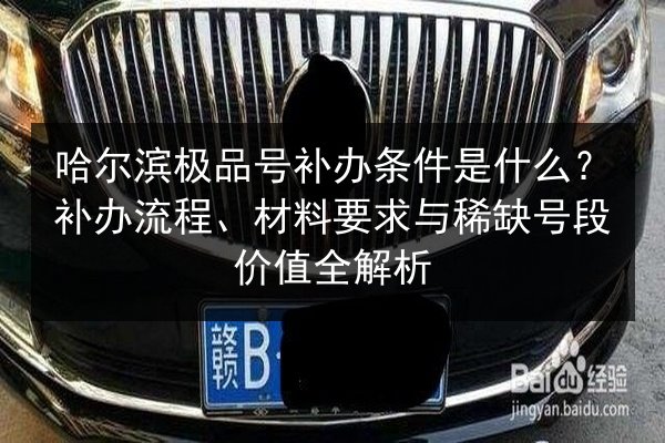 哈尔滨极品号补办条件是什么?补办流程、材料要求与稀缺号段价值全解析 第2张 哈尔滨极品号补办条件是什么?补办流程、材料要求与稀缺号段价值全解析 第2张
