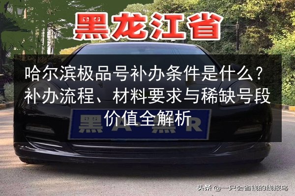 哈尔滨极品号补办条件是什么?补办流程、材料要求与稀缺号段价值全解析 第3张 哈尔滨极品号补办条件是什么?补办流程、材料要求与稀缺号段价值全解析 第3张