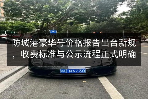 防城港豪华号价格报告出台新规,收费标准与公示流程正式明确 第2张 防城港豪华号价格报告出台新规,收费标准与公示流程正式明确 第2张