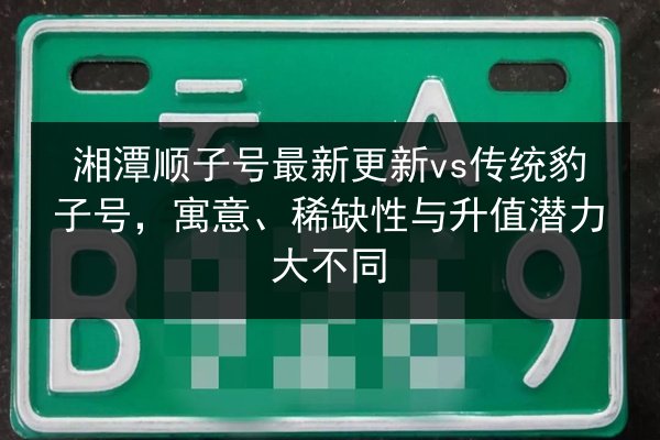 湘潭顺子号最新更新vs传统豹子号,寓意、稀缺性与升值潜力大不同 第3张 湘潭顺子号最新更新vs传统豹子号,寓意、稀缺性与升值潜力大不同 第3张