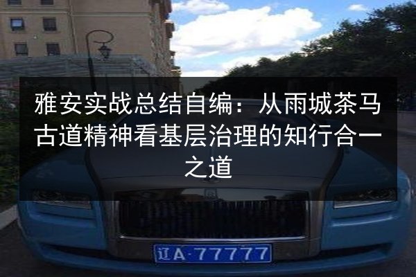 雅安实战总结自编：从雨城茶马古道精神看基层治理的知行合一之道 第3张