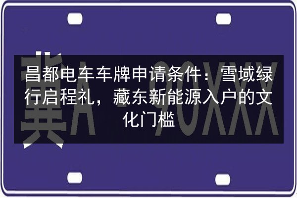 昌都电车车牌申请条件：雪域绿行启程礼，藏东新能源入户的文化门槛