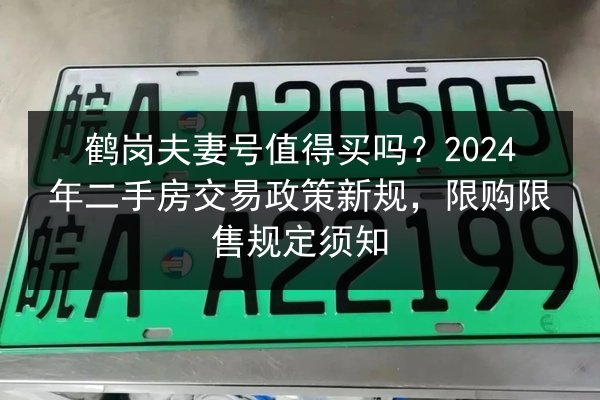 鹤岗夫妻号值得买吗？2024年二手房交易政策新规，限购限售规定须知 第2张