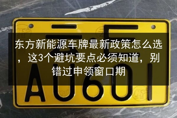 东方新能源车牌最新政策怎么选,这3个避坑要点必须知道,别错过申领窗口期 第3张 东方新能源车牌最新政策怎么选,这3个避坑要点必须知道,别错过申领窗口期 第3张