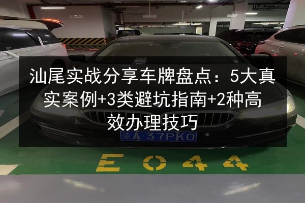 汕尾实战分享车牌盘点：5大真实案例+3类避坑指南+2种高效办理技巧 第2张