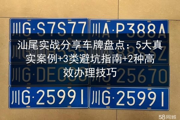 汕尾实战分享车牌盘点：5大真实案例+3类避坑指南+2种高效办理技巧 第3张