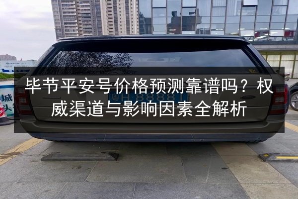 毕节平安号价格预测靠谱吗？权威渠道与影响因素全解析 第3张