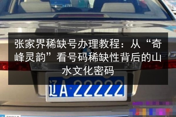 张家界稀缺号办理教程:从“奇峰灵韵”看号码稀缺性背后的山水文化密码 第1张 张家界稀缺号办理教程:从“奇峰灵韵”看号码稀缺性背后的山水文化密码 第1张