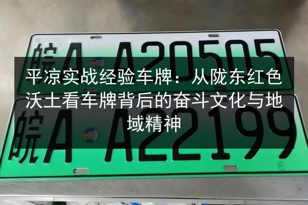 平凉实战经验车牌：从陇东红色沃土看车牌背后的奋斗文化与地域精神 第2张