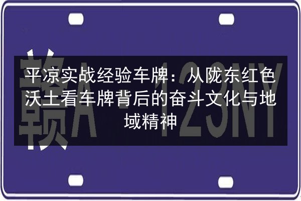 平凉实战经验车牌：从陇东红色沃土看车牌背后的奋斗文化与地域精神 第3张