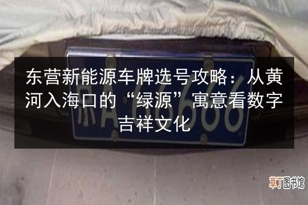 东营新能源车牌选号攻略：从黄河入海口的“绿源”寓意看数字吉祥文化