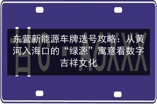 东营新能源车牌选号攻略：从黄河入海口的“绿源”寓意看数字吉祥文化 第2张