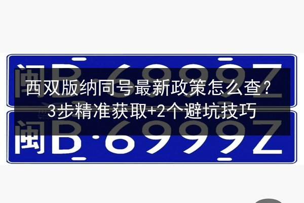 西双版纳同号最新政策怎么查?3步精准获取+2个避坑技巧 第2张 西双版纳同号最新政策怎么查?3步精准获取+2个避坑技巧 第2张