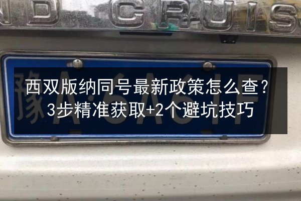 西双版纳同号最新政策怎么查?3步精准获取+2个避坑技巧 第3张 西双版纳同号最新政策怎么查?3步精准获取+2个避坑技巧 第3张