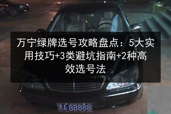 万宁绿牌选号攻略盘点：5大实用技巧+3类避坑指南+2种高效选号法
